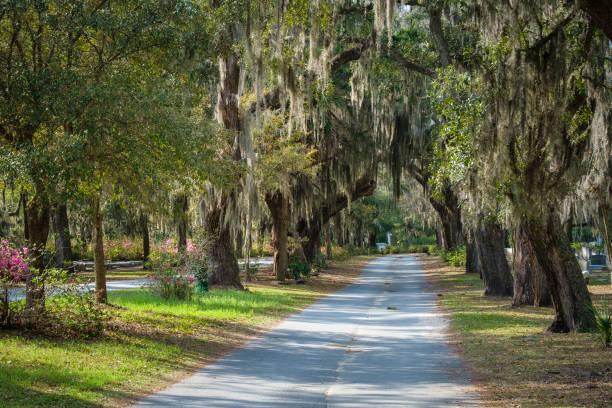 istock Tree-lined path in Bonaventure Cemetery in Savannah. 1680857867