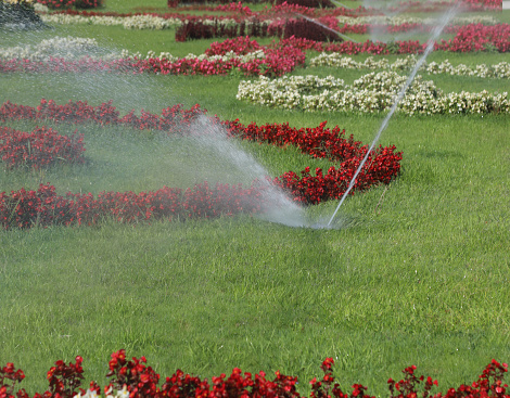 automatic irrigation system to water the flowers in the garden during the hot summer season