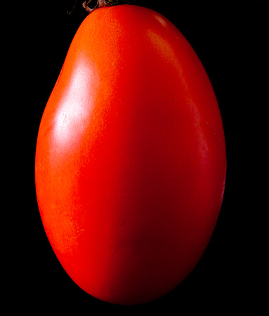 Roma tomato on black background