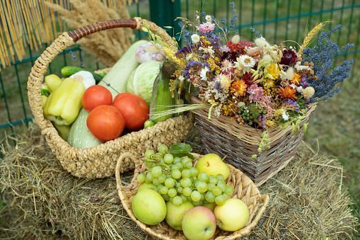 organic vegetables and fruits in wicker basket.