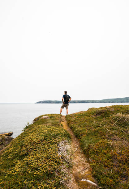 istock Man standing on hill overlooking the ocean in Newfoundland. 1680880283