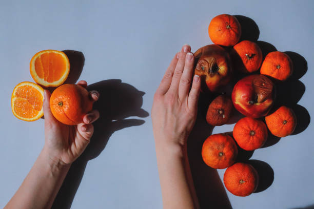istock Fresh oranges and spoiled fruits, human choice, hands 1680880289