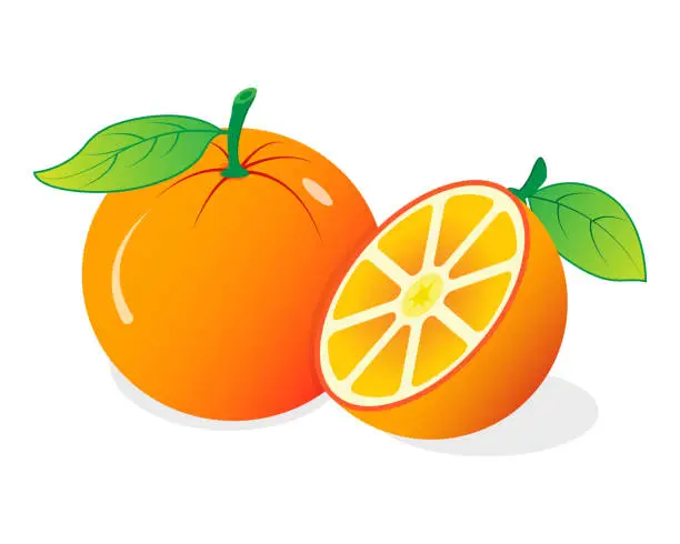 Vector illustration of Illustration of an Orange with Half Slice