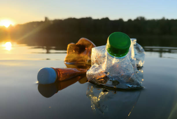 istock Plastic bottle garbage on sea shore lake. Collecting waste and garbage on beach. 1680911323