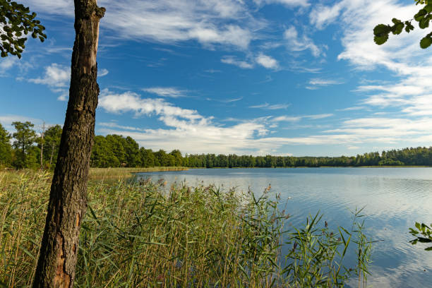 istock view over lake Olow in Ryn in Poland 1680916403
