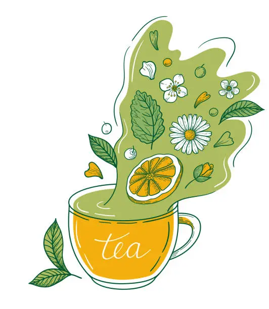 Vector illustration of Cup with herbal tea and floral decoration. Concept with green leafes, mint, lemon, rose, chamomile petal flowers