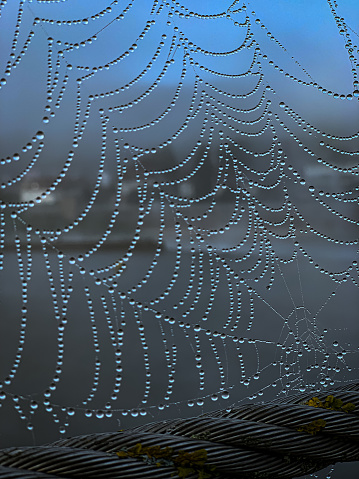 Close up view of a spider web with rain drops on.