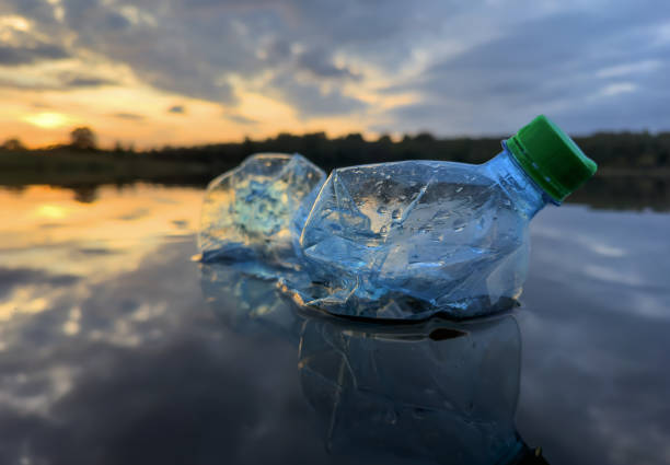 istock Marine plastic pollution. Plastic waste in lake water. 1680979821