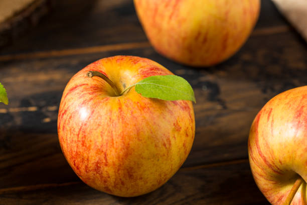 istock Healthy Organic Royal Gala Apples 1681012303