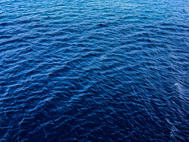 istock Blue water background. Wavy sea water surface. Blue background. 1681014431