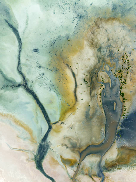 istock Natural shapes and textures on lake 1681023425