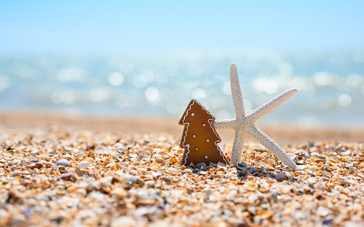 Starfish and Christmas tree on the seashore. New Year's holidays at a seaside resort.