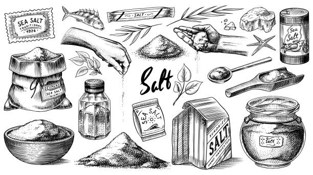 Sea salt set. Glass bottles, packaging and and leaves, wooden spoons, powdered powder, spice in the hand. Vintage background poster. Engraved hand drawn sketch. Vector illustration