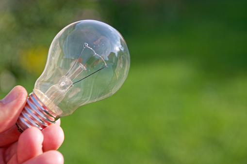 Incandescent lamp in a hand on the green grass background