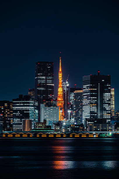 istock Tokyo Skyline at Night 1681121857