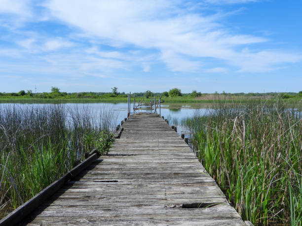 istock Bridge Over Water with a Blue Sky Background 1681139287