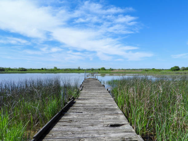 istock Bridge Over Water with a Blue Sky Background 1681139295