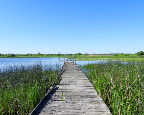 istock Bridge Over Water with a Blue Sky Background 1681141441