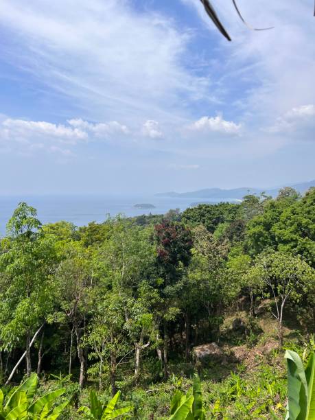 istock Panoramic view at the seaside, Phuket, Thailand 1681142480
