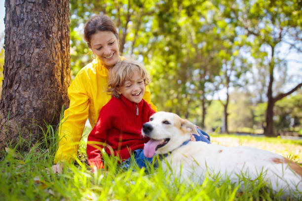 istock Family walking in autumn park. Fall fun. 1681175063