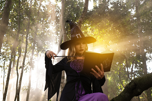 Witch pray the magic book in forest , Halloween concept