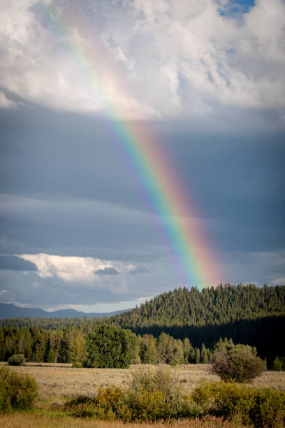 Rainbow above Teton Meadow stock photo