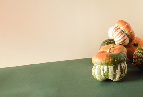 Creative pumpkin arrangement. Minimal seasonal food concept for Thanksgiving. Copy space