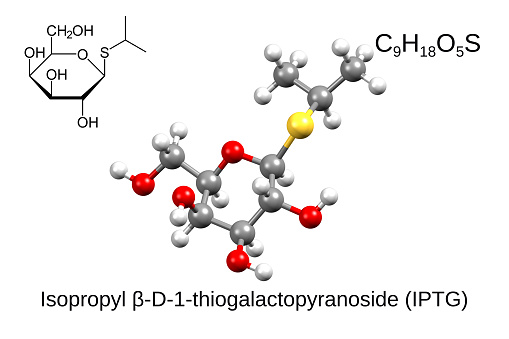 Isopropyl β- d-1-thiogalactopyranoside (IPTG) is a molecular biology reagent. This compound is a molecular mimic of allolactose, a lactose metabolite that triggers transcription of the lac operon.