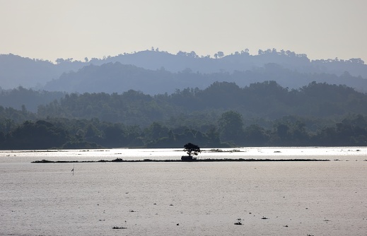 House and tree in the middle of the river. this photo was taken from Kaptai Lake,Rangamati,Bangladesh.