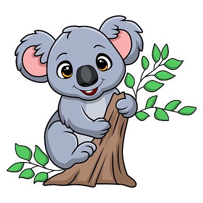 Vector illustration of Cute little koala cartoon on a tree branch