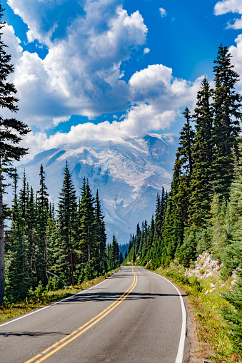 Mt Rainier