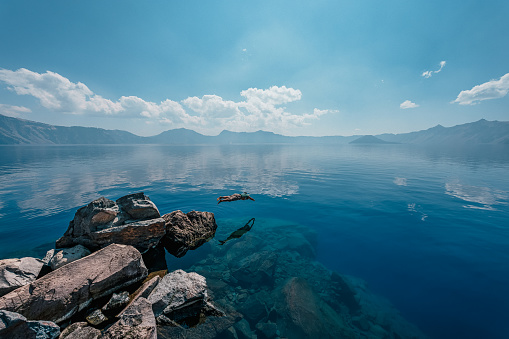 An active and adventurous senior woman of Pacific Islander descent dives off of a rock into the serene and frigid waters of Crater Lake while hiking during a fun camping trip through the Pacific Northwest region of the United States.