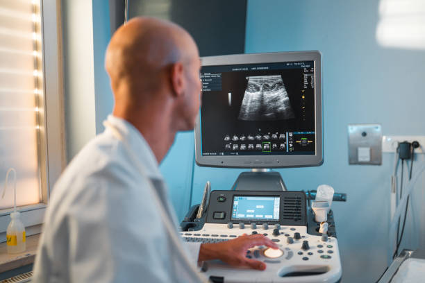 istock Veterinarian Doing An Ultrasound, Using Modern Equipment 1681462431
