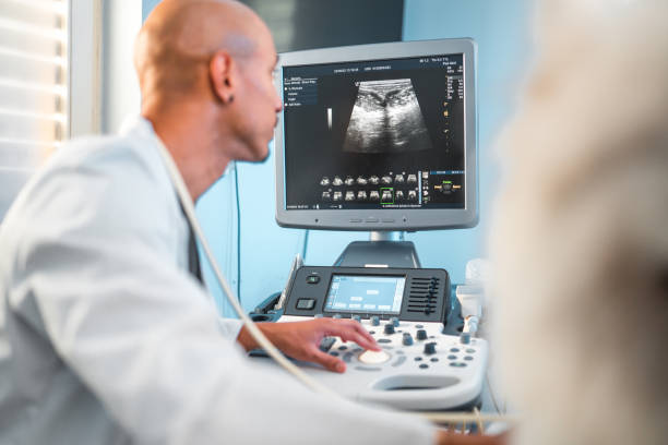 istock Professional Veterinarian Working With An Ultrasound Machine 1681462471