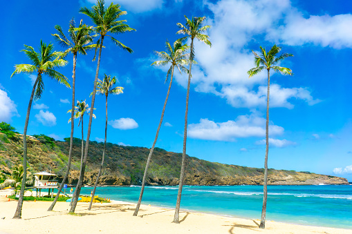 Beautiful Hanauma Bay in Oahu, Hawaii, with a view of the lifeguard house, palm trees, mountains created from a volcanic crater and surf boards on the white sandy beach