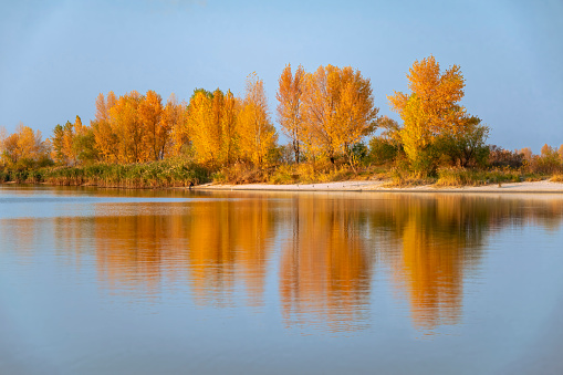 Lake with Trees in Autumn Colors. The trees are reflected in the still water of the lake. The sky is blue and clear, creating a peaceful and serene mood
