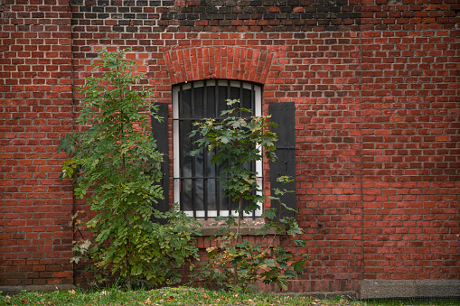 Old red brick wall with a a window on an autumn day.