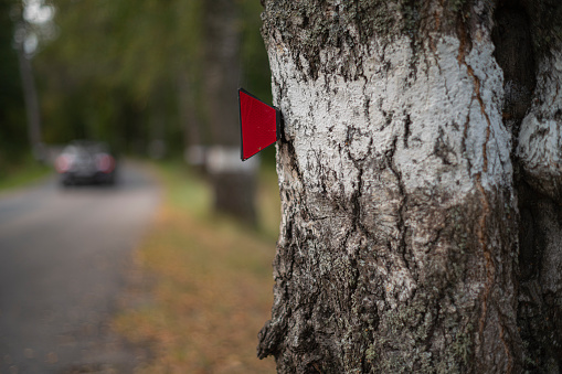 Several hiking and footpath signs are hung on trees along the roadside in the countryside.