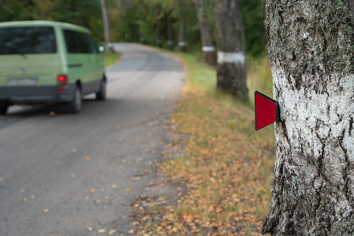 Several hiking and footpath signs are hung on trees along the roadside in the countryside.