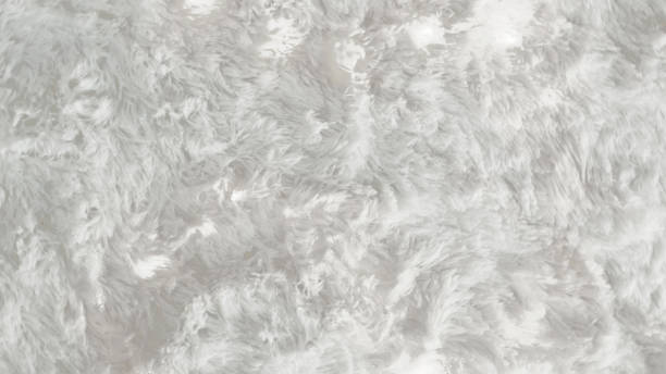 istock White Silver Grey Fur Cloth Coat Wool Pelt Hair Luxurious Luxury Texture Textile Material Background BackDrop Aesthetic Elegant Classy Shiny Glossy Wallpaper Expensive Feelings Soft Smooth Mockup 1681698957