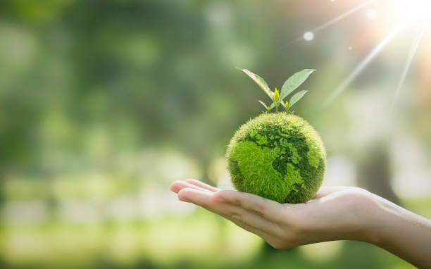 istock hand holding green earth environmental conservation concept and sustainable environment save the earth green background Protect the environment keep the world clean 1681765640