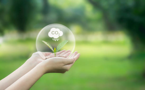 istock Concepts for reducing CO2 emissions for sustainable development and green business based on renewable energy energy saving sustainable development 1681765658