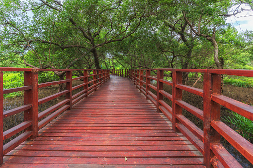 A red wooden bridge walkway leads straight out of the mangrove forest, Rayong, Thailand