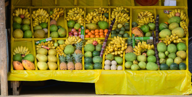 istock Various tropical fruits are on display on the stall stand. 1681801835