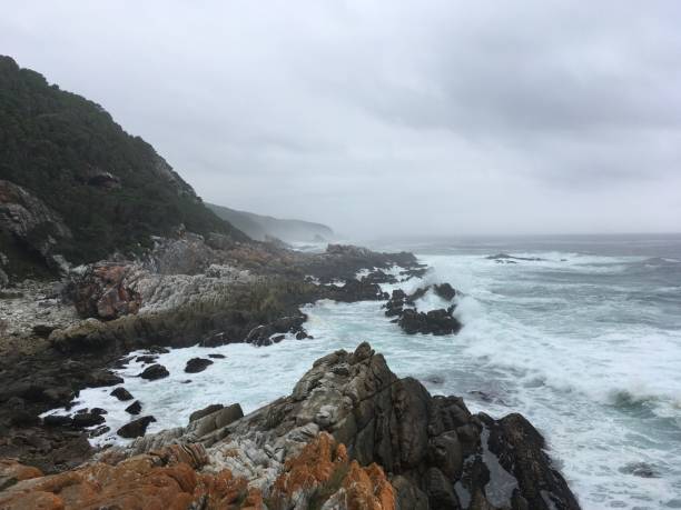 istock a cloudy day at cape head looking back down the ocean 1681828795