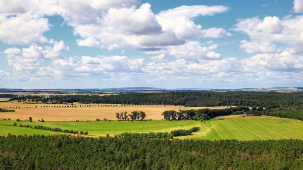 vista del paisaje agrícola en verano en alemania - regenstein fotografías e imágenes de stock