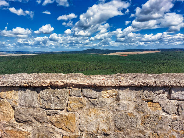 widok z balustrady na małej górze regenstein w niemczech - regenstein zdjęcia i obrazy z banku zdjęć