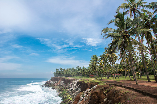 Varkala cliff on beach with ocean and coconut trees