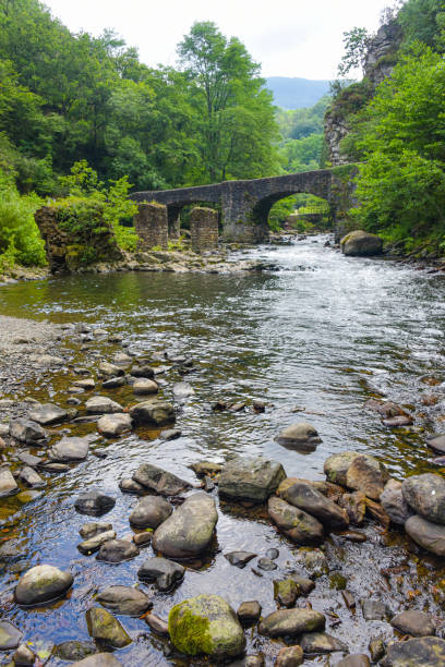 istock Puente de las Brujas and Leitzaran river, Basque Country, Spain 1681932510