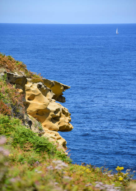 istock Colourful sandstone rock formations on the Cantabrian coastline. Mount Jaizkibel, Basque Country, Spain 1681967168
